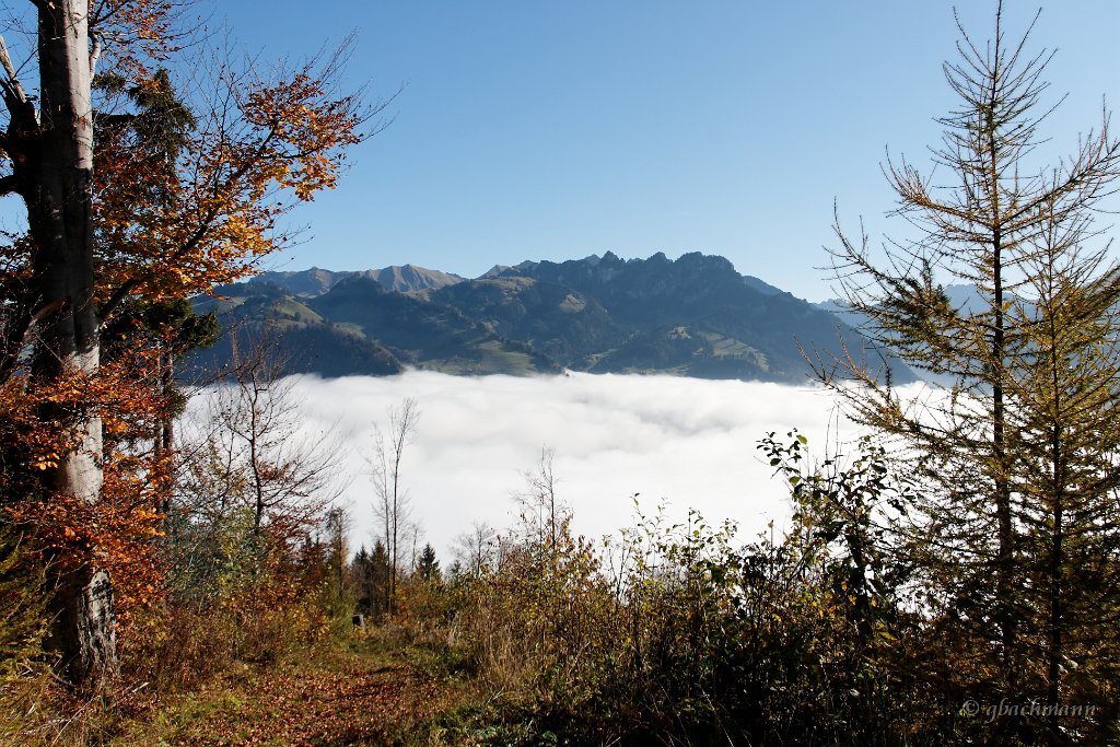 20081026_056